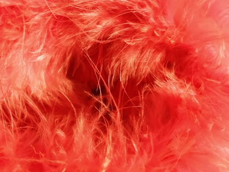 Red faux fur or scarlet-colored natural bird feathers close-up. Light feathers boa. Delicate texture. Greeting card Happy Valentine's Day. Collar from a women's or girl's jacket. Bright red color.