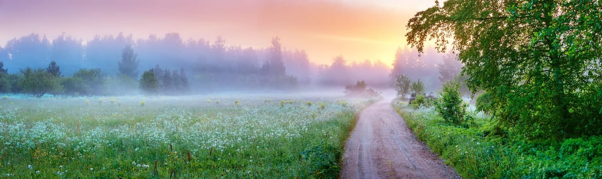 Country gravel road in fog in natural park in summer. Panoramic view of the morning in nature.