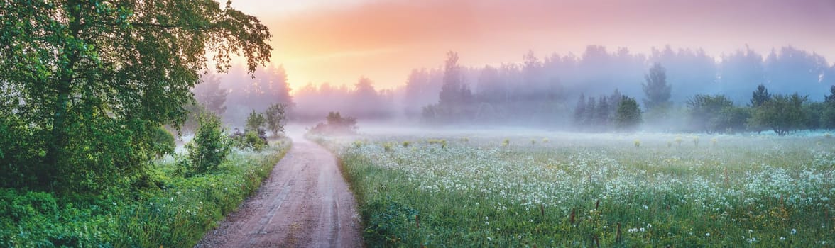 Country gravel road in fog in natural park in summer. Panoramic view of the morning in nature.