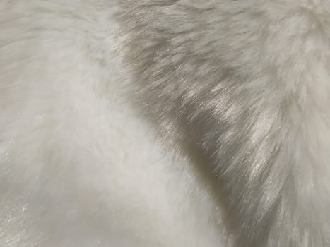 White faux fur. Close-up. Partially defocused photo. Fluffy villi.