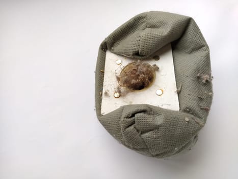 Spring-cleaning. Trash, dust, dirt, pet hair, human hair from a gray vacuum cleaner bag. Apartment and house cleaning. Allergy to domestic tick and its excrement. Obsessive compulsive disorder