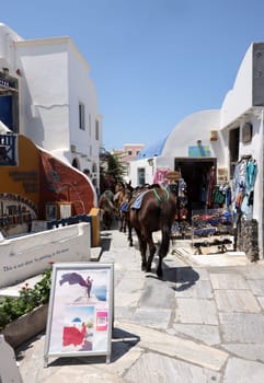 Oia, Santorini, Greece - July 3, 2021: Donkeys on the streets of Oia on the Santorini island. Greece