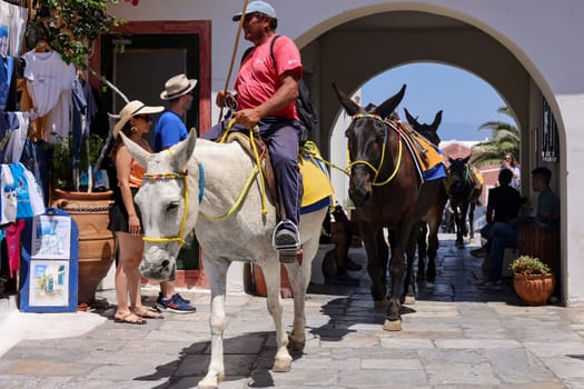 Oia, Santorini, Greece - July 3, 2021: Donkeys on the streets of Oia on the Santorini island. Greece