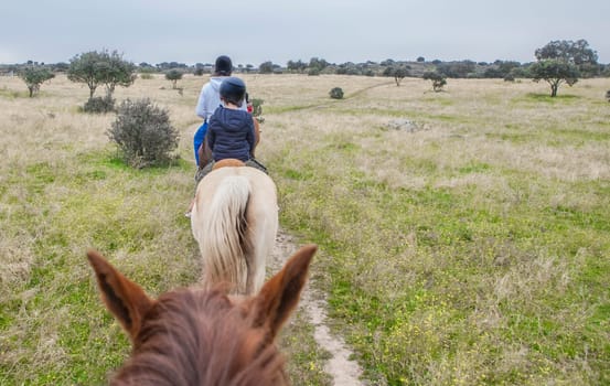 Horse riding route through Dehesa contryside. Scene viewed from horseback