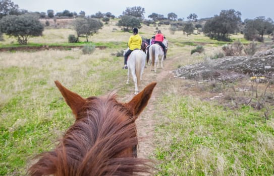Horse riding route through Dehesa contryside. Scene viewed from horseback