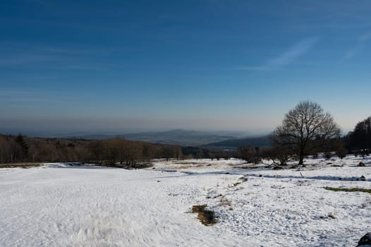 Lots of snow in nature, with trees and blue sky in the high Rhoen, Hesse, Germany
