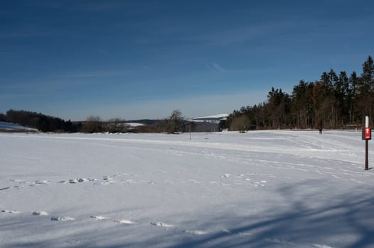 Lots of snow in nature, with trees and blue sky in the high Rhoen, Hesse, Germany