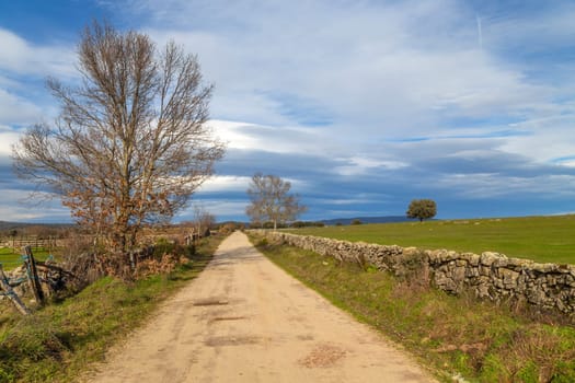 Via de la Plata way (Silver Way) to Santiago in Extremadura. Spain