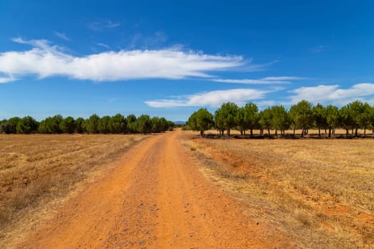 Rural road in the Spanish countryside among agricultural fields, after wheat harvest season. Navarra, Spain