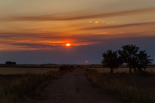 Sunset and cereal farmland. Tierra Estella. Navarre, Spain, Europe.