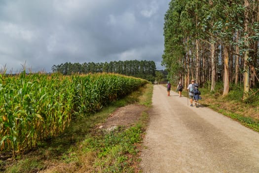 Navarre, Spain, 26 August, 2022: Pilgrims walk along the Camino De Santiago, the Way of St. James pilgrimage route, Navarra, Spain.