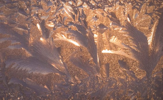 Frost on the window.
