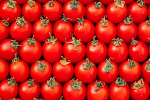Background image of lying rows of red ripe cherry tomatoes. Top view. Flat lay. Copy space