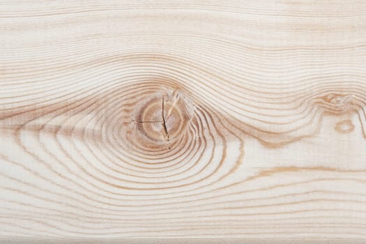 Background texture. Surface of a larch edged board with knot on cut. Wood texture. Top view, copy space.