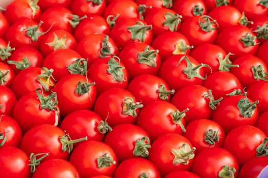 Background image of lying rows of red ripe cherry tomatoes. Top view. Flat lay. Copy space