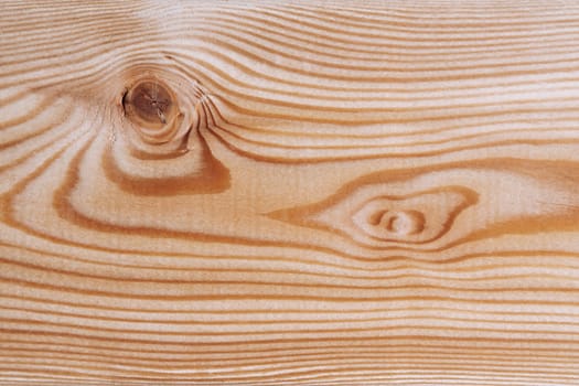 Background texture. Surface of a larch edged board with knot on cut. Wood texture. Top view, copy space.