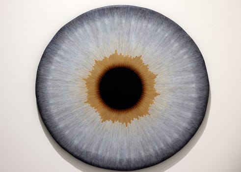 Venice, Italy - Septr 6, 2022: 59th Venice Art Biennale in Venice.A series of eyeball paintings entitled Iris by Swedish artist Ulla Wiggen. Acrylic on panel