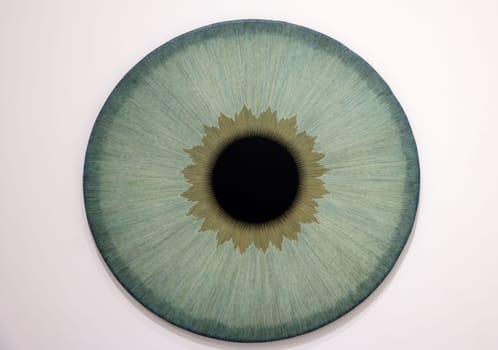 Venice, Italy - Septr 6, 2022: 59th Venice Art Biennale in Venice.A series of eyeball paintings entitled Iris by Swedish artist Ulla Wiggen. Acrylic on panel