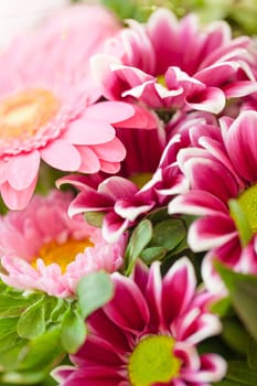 Colorful summer flowers in the bouquet in detail