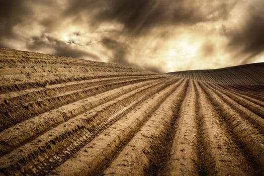 Landscape with moody light shows a hill with many tracks on dry fields leading to the horizon and a dramatic cloudscape