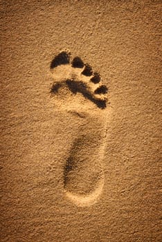 Single foorprint in yellow brown sand on the beach as a symbol for recreation or vacations