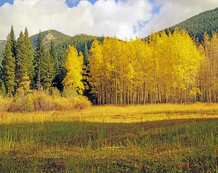 Autumn in Rocky Mountains National Park, Colorado