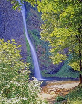 Latourel Falls within Guy W. Talbot State Park in Oregon