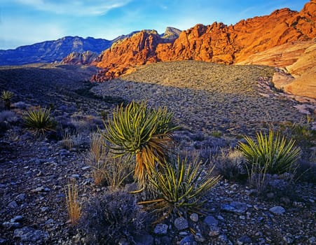 Red Rock Canyon in Nevada