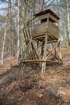 Deer stand made of wood in the woods, standing on a hill, low angle view, forest in the background, vertical shot