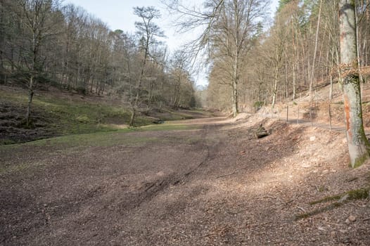 Wildlife Park Brudergrund Landscape without animals during spring, Erbach, Germany