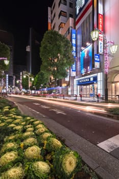 ikebukuro, japan - december 31 2012: Night view of the sidewalk of the Sunshine Street at the east exit of Ikebukuro station decorated with grasses and Kale or leaf cabbage.