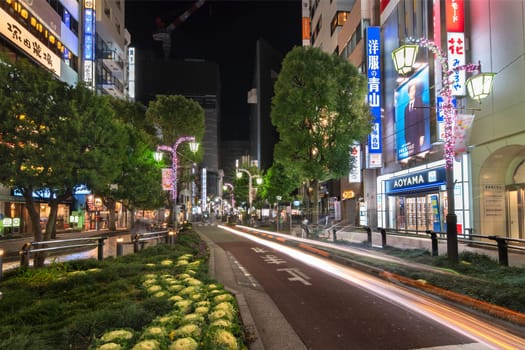 ikebukuro, japan - december 31 2012: Night view of the sidewalk of the Sunshine Street at the east exit of Ikebukuro station decorated with grasses and Kale or leaf cabbage.