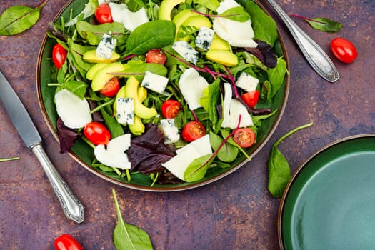 Salad with fresh lettuce, greens, avocado, tomatoes and cheeses. Space for text