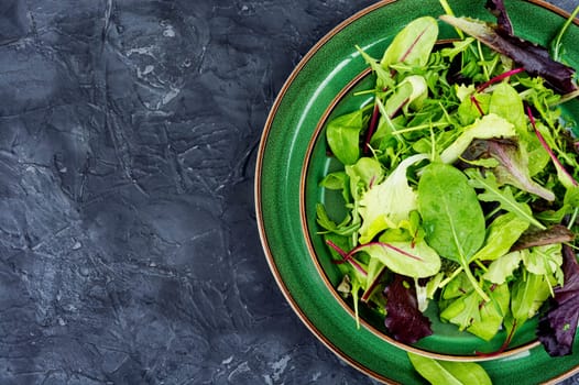 Mix of fresh salad leaves on the plate. Green food.