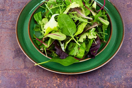 Green fresh salad with arugula, spinach, purple lettuce and chard. Fresh spring salad.