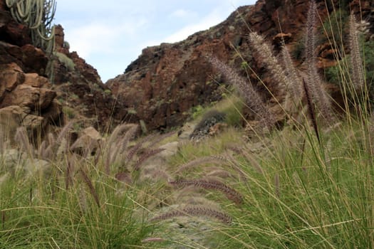 Barranco del Toro - Stierschlucht, Gran Canaria, Spanien, San Agustin