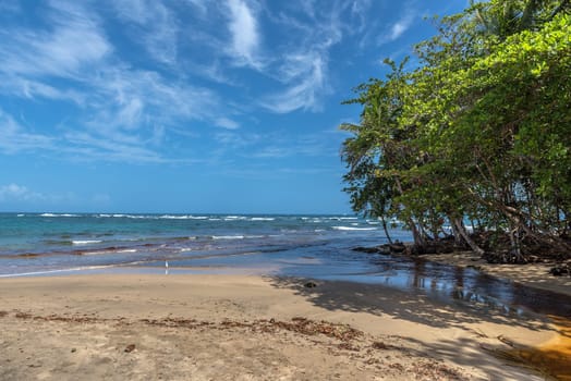 Caribbean beach near Puerto Viejo, Costa Rica