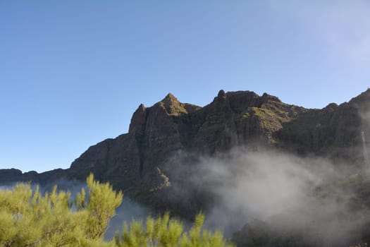 Fog in the green Teno Mountains near Masca on the Canary Island of Tenerife, Spain