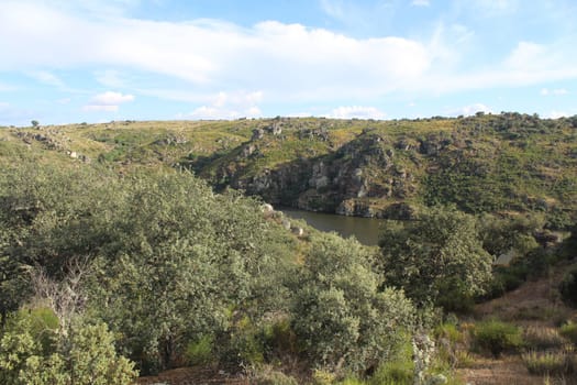 Beautiful image with a large river and some huge ravines