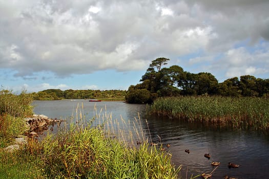 Ross castle, in Killarney national park, county clare, ireland
