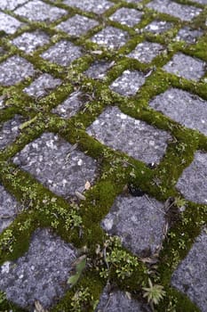 Floor detail of old cobblestones in a pedestrian walkway