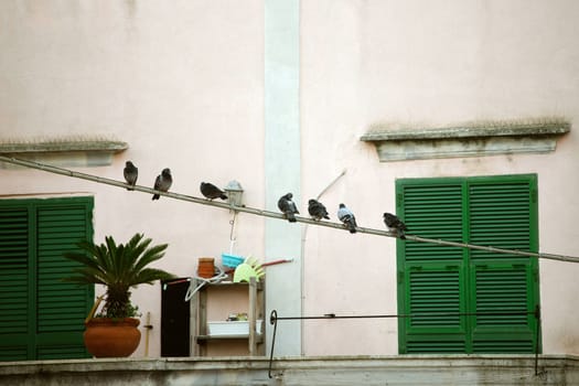 Procida island with colorful houses in small town street