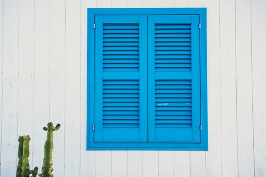 Blue door with cactus and the traditional white walls in the Procida Island, Italy