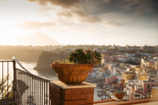 Vintage pot with cactus with colorful houses of Procida in the background.