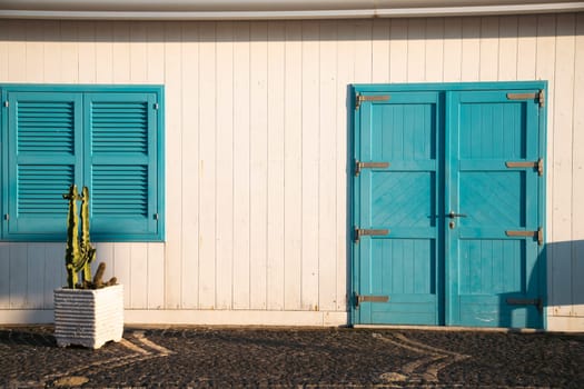Blue door with cactus and the traditional white walls in the Procida Island, Italy