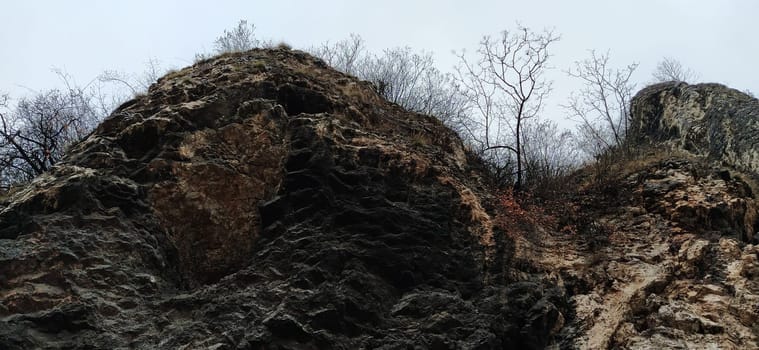 Rocky cliff with bushes, bottom to top view. Rocks after blasting to lay the road. Bosnia and Herzegovina, Sarajevo. Scary cliffs hanging with bushes without leaves. Black silhouettes of trees.