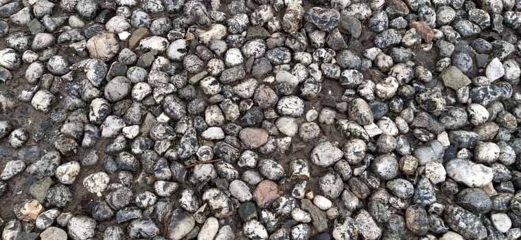 Paving stones made of round light stones similar to marble. Paved square in the old town of Sarajevo, Bosnia and Herzegovina. Beautiful wet shiny stones after rain. Close-up in natural daylight.