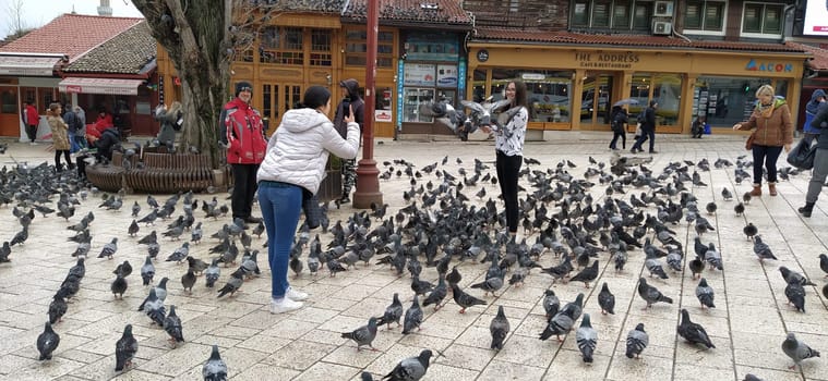 Sarajevo, Bosnia and Herzegovina, March 8, 2020, people walk the central streets of Sarajevo feeding pigeons. Bascarsija and square. Islamic landmarks and tourist sites. Birds walk on the pavement.