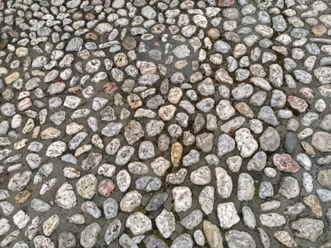 Paving stones made of round light stones similar to marble. Paved square in the old town of Sarajevo, Bosnia and Herzegovina. Beautiful wet shiny stones after rain. Close-up in natural daylight.
