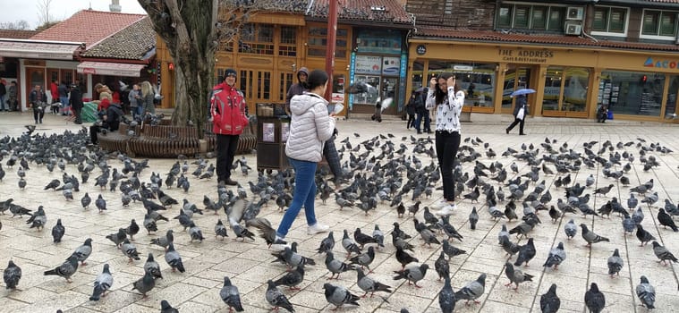 Sarajevo, Bosnia and Herzegovina, March 8, 2020, people walk the central streets of Sarajevo feeding pigeons. Bascarsija and square. Islamic landmarks and tourist sites. Birds walk on the pavement.